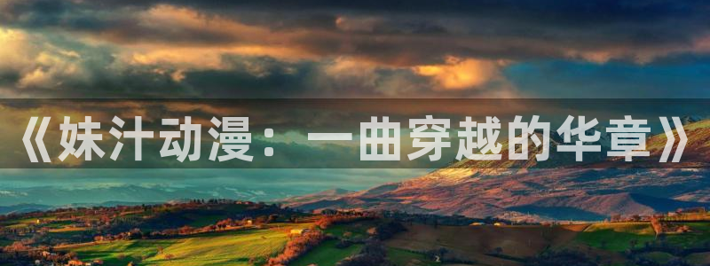 动漫之家安装包