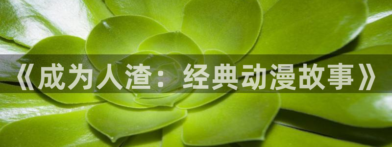 虎哥动漫之家在线观看